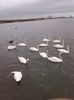 IMG_20131001_141926
