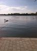 IMG_20130925_115714