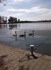 IMG_20130925_115731