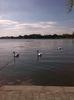 IMG_20130925_115743