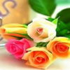 avatare_flori_840