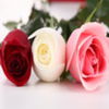 flori10 - www.avatareselecte.com