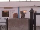 IMG_20130920_190526