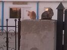 IMG_20130920_190535