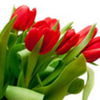 avatare_flori_848