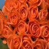avatare_flori_863