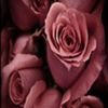 avatare_flori_357