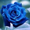 avatare_flori_375