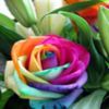 avatare_flori_381