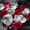 avatare_flori_386
