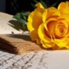 avatare_flori_366
