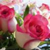 avatare_flori_367