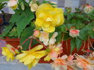 DSCN4623