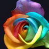 avatare_flori_274