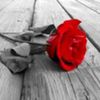 avatare_flori_271