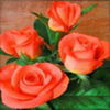 avatare_flori_273