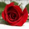 avatare_flori_296