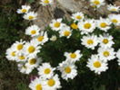 14804309_ZDNKLSEAJ