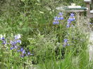 DSCN4170