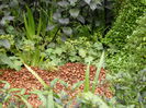 DSCN4172