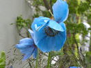 DSCN4186