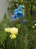 DSCN4187