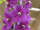 DSCN4194