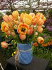 DSCN4278