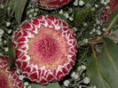 DSCN4286