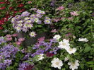 DSCN4293