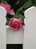 DSCN4316