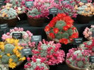 DSCN4324