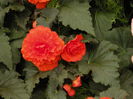 DSCN4327
