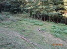 DSC07131