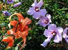 DSC06290