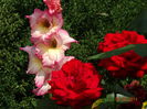 DSC06410
