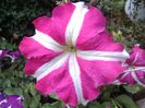 IMG_20140905_175349