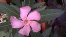 WP_20140906_15_07_59_Pro