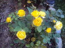 DSC03166