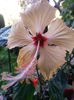 20140905_165307