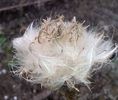 IMG_20140906_111801