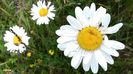 20140520_141824