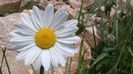 20140520_144020