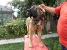 SAM_0596