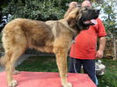 SAM_0604