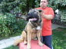 SAM_0618