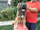SAM_0617