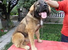 SAM_0613