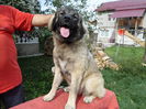 SAM_0638