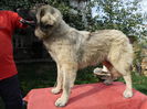 SAM_0626